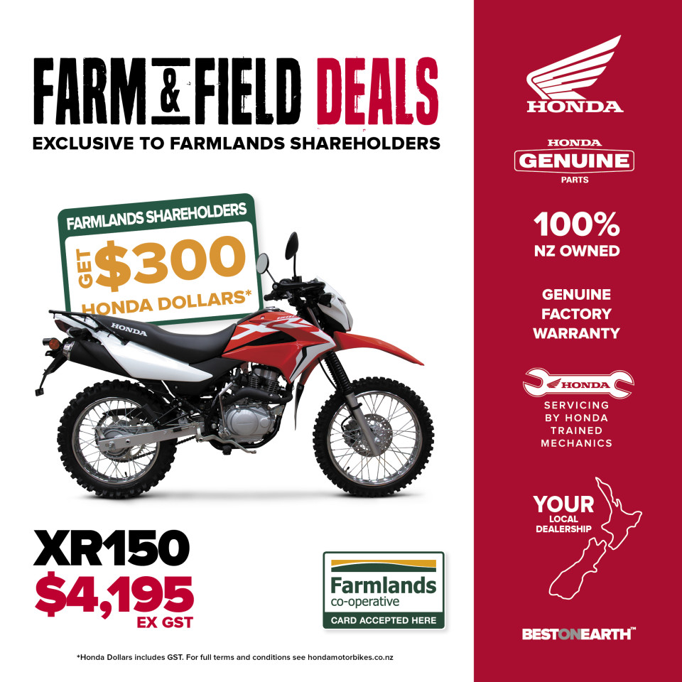 XR150 - Get $300 Honda Dollars