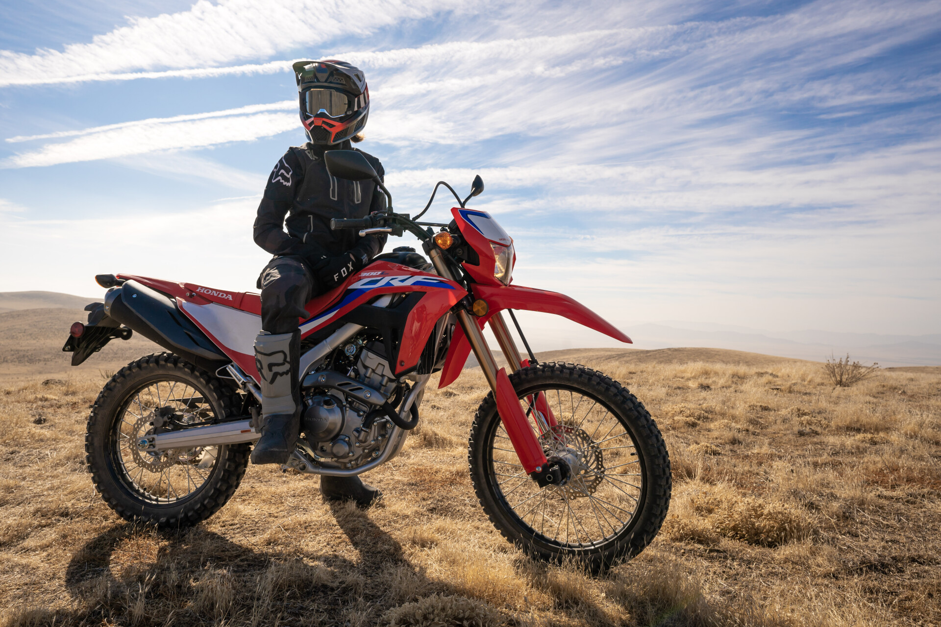 CRF300L Dual Purpose Bike | Honda Motorcycles NZ