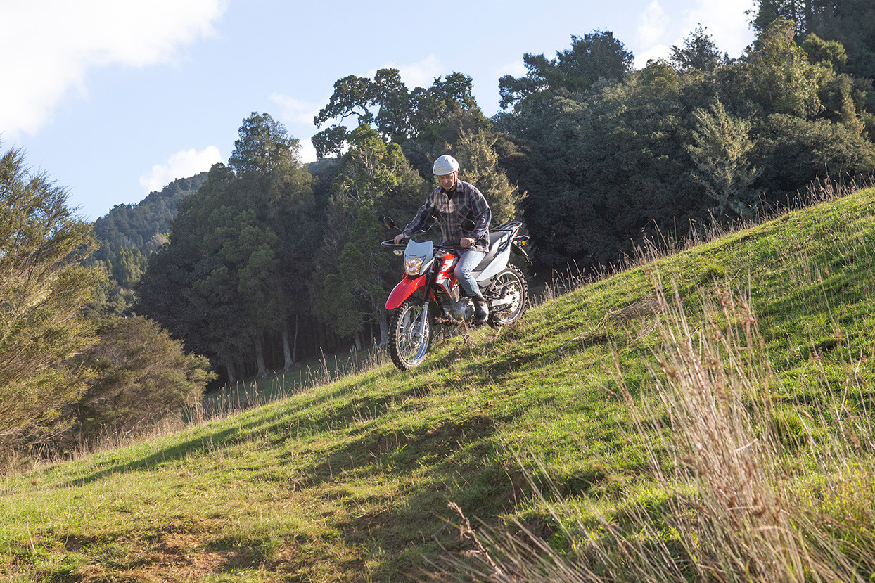 Xr150l Farm Bike Honda Motorcycles Nz
