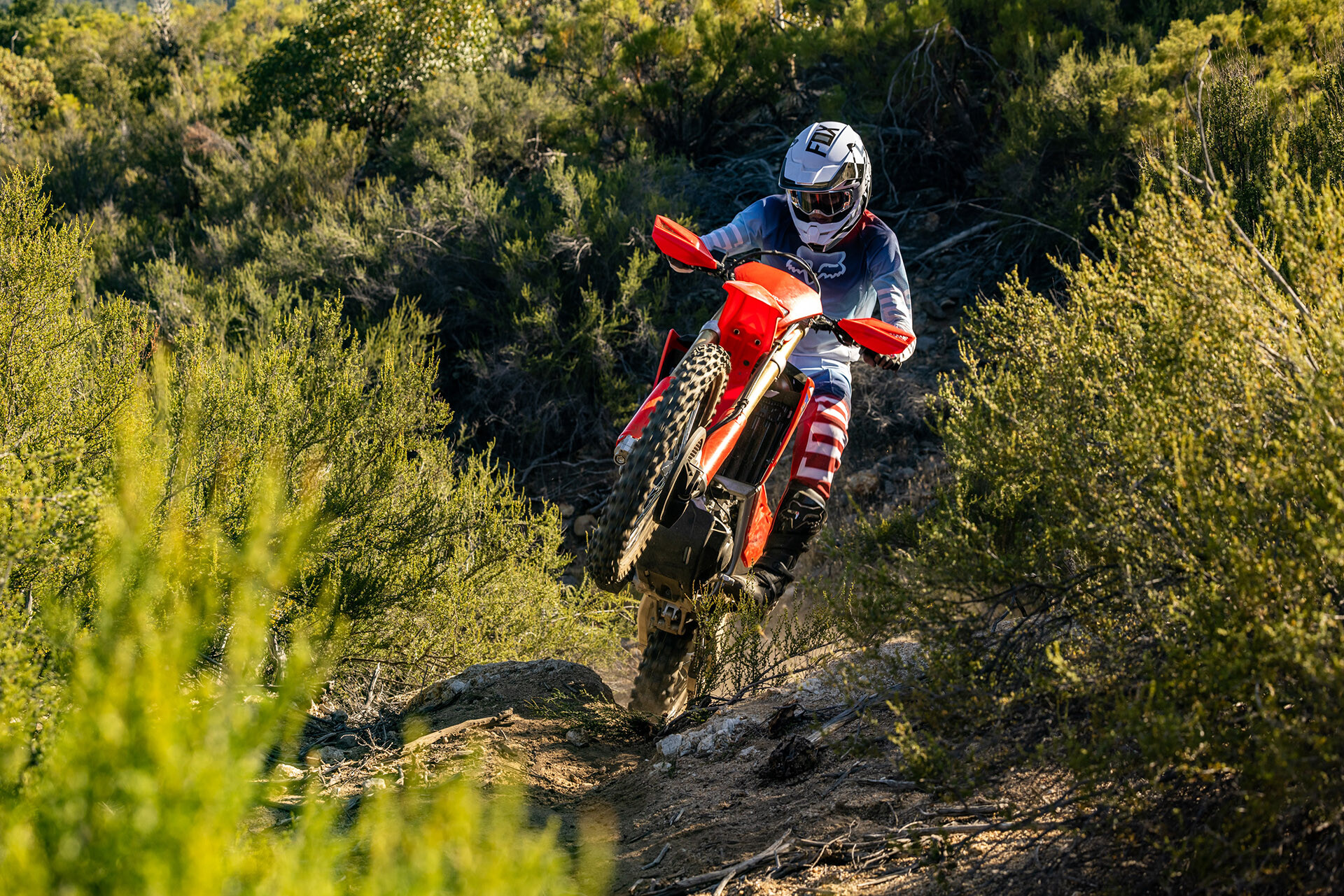 CRF450X Motorbike | Honda Motorcycles NZ