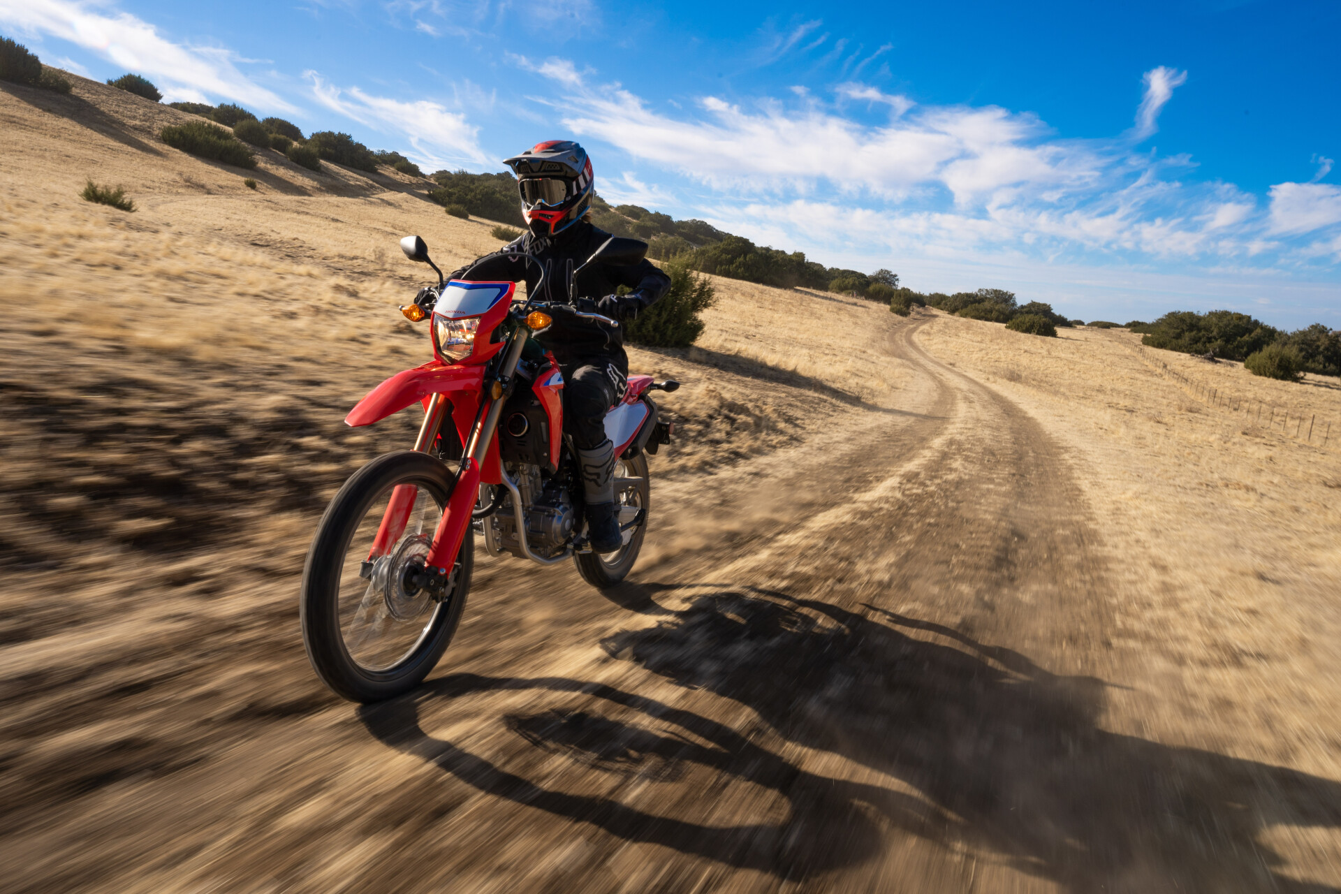 CRF300L Dual Purpose Bike | Honda Motorcycles NZ