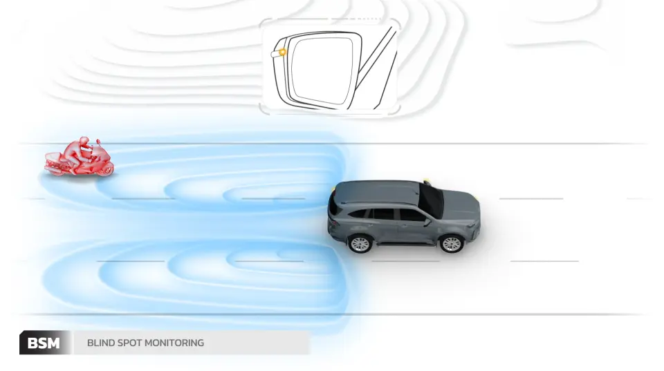 Blind Spot Monitoring System