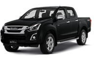 LS Double Cab Ute 2WD & 4WD