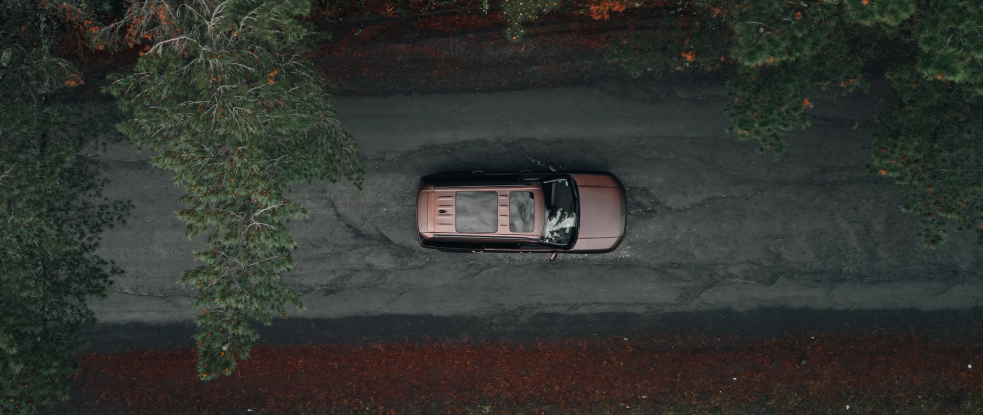 Hyundai Insurance